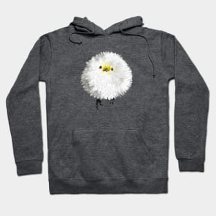 Bushtit + English Daisy Hoodie